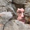 Валерий Ершов, 59, г.Нацэрэт Валерий Ершов, 59, г.Нацэрэт