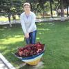 Вера, 49, г.Волгоград Вера, 49, г.Волгоград