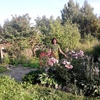 Наталья, 41, г.Витебск Наталья, 41, г.Витебск
