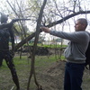 Олег, 40, г.Киев Олег, 40, г.Киев