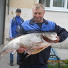 владимир, 43, г.Старый Оскол владимир, 43, г.Старый Оскол