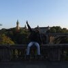 Andrey, 35, г.Иерусалим Andrey, 35, г.Иерусалим