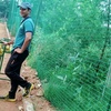 rohit, 26, г.Gurgaon rohit, 26, г.Gurgaon