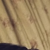 abnaveed, 18, г.Нью-Йорк abnaveed, 18, г.Нью-Йорк