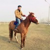 Shamshod, 30, г.Джизак Shamshod, 30, г.Джизак
