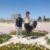 Samir, 24, г.Мерке Samir, 24, г.Мерке