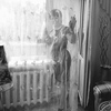 Людмила, 53, г.Отрадный Людмила, 53, г.Отрадный