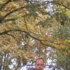 Михаил, 42, г.Славяносербск Михаил, 42, г.Славяносербск