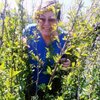 галина, 61, г.Заводоуковск галина, 61, г.Заводоуковск