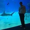 Даниил Living_Death, 28, г.Холон Даниил Living_Death, 28, г.Холон
