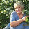 Любовь, 68, г.Амурск Любовь, 68, г.Амурск