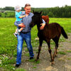 Серый, 38, г.Ясногорск Серый, 38, г.Ясногорск