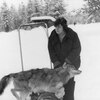 joy, 64, г.Медведево joy, 64, г.Медведево