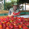 Олег, 67, г.Курск Олег, 67, г.Курск