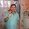 Александр, 46, г.Воскресенск Александр, 46, г.Воскресенск