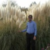 Amir, 37, г.Тегеран Amir, 37, г.Тегеран