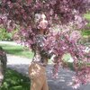 Юля, 20, г.Лисичанск Юля, 20, г.Лисичанск