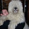 Сергій Нерян, 32, г.Рахов Сергій Нерян, 32, г.Рахов