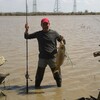 Ардак, 47, г.Атырау(Гурьев) Ардак, 47, г.Атырау(Гурьев)
