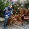 елена, 58, г.Москва елена, 58, г.Москва