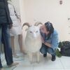 Настена Сластена, 35, г.Томск Настена Сластена, 35, г.Томск