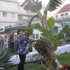 никак, 45, г.Белиз-Сити никак, 45, г.Белиз-Сити