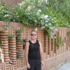 slav, 53, г.Antwerpen slav, 53, г.Antwerpen