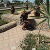 Vitaliy, 47, г.Медвежьегорск Vitaliy, 47, г.Медвежьегорск