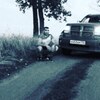 Армен, 33, г.Острогожск Армен, 33, г.Острогожск