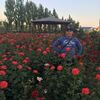 Алексус, 37, г.Ванновка Алексус, 37, г.Ванновка