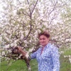 Светлана, 51, г.Старый Оскол Светлана, 51, г.Старый Оскол