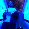 Denis, 23, г.Прага Denis, 23, г.Прага
