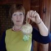 Мария, 61, г.Тихвин Мария, 61, г.Тихвин
