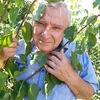 SERGEI, 64, г.Тимашевск SERGEI, 64, г.Тимашевск