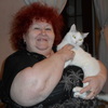 Ванина В.Н., 68, г.Бердянск Ванина В.Н., 68, г.Бердянск