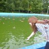Анна, 22, г.Пичаево Анна, 22, г.Пичаево
