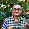 Дмитрий, 62, г.Ульяновск Дмитрий, 62, г.Ульяновск