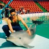 drfardeen, 42, г.Бангалор drfardeen, 42, г.Бангалор
