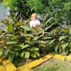 Vera, 65, г.Гаррисберг Vera, 65, г.Гаррисберг