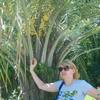 Ирина, 49, г.Новый Уренгой Ирина, 49, г.Новый Уренгой