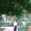 Ника, 33, г.Гагра Ника, 33, г.Гагра