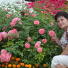 Светлана, 51, г.Высокополье Светлана, 51, г.Высокополье