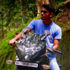 krIsNa, 26, г.Кожикоде krIsNa, 26, г.Кожикоде
