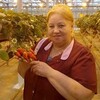 Татьяна, 59, г.Ульяновск Татьяна, 59, г.Ульяновск