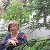 Мила, 66, г.Керчь Мила, 66, г.Керчь