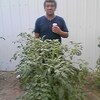 manuel, 58, г.Сан-Анджело manuel, 58, г.Сан-Анджело