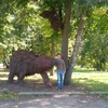 Сергей, 37, г.Орел Сергей, 37, г.Орел