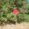 Бейбит, 44, г.Усть-Каменогорск Бейбит, 44, г.Усть-Каменогорск