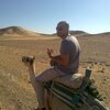 Фарид, 37, г.Каир Фарид, 37, г.Каир