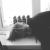 Илья, 16, г.Владимир Илья, 16, г.Владимир